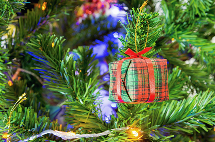 The Ultimate Guide to Finding the Perfect Christmas Tree for Sale