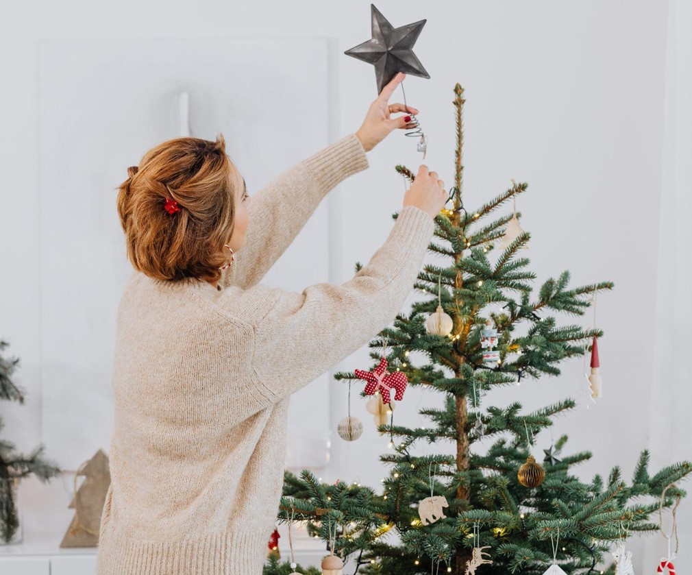 Embrace Summer Vibes with Pink & Flip Christmas Trees